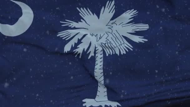 Flaga zimowa Karoliny Południowej z tłem płatków śniegu. Stany Zjednoczone Ameryki — Wideo stockowe