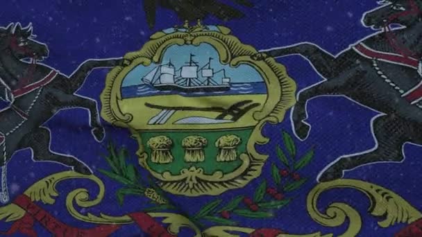 Pennsylvania winter flag with snowflakes background. United States of America — Stockvideo