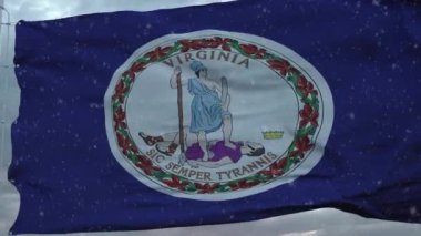 Virginia kış bayrağı, kar taneleri arka planda. Amerika Birleşik Devletleri