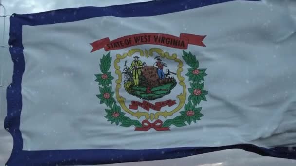 Batı Virginia kar taneleri arka planında kış bayrağı. Amerika Birleşik Devletleri — Stok video