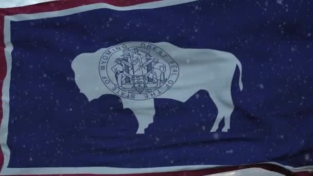 Wyoming bendera musim dingin dengan latar belakang kepingan salju. Amerika Serikat. — Stok Video