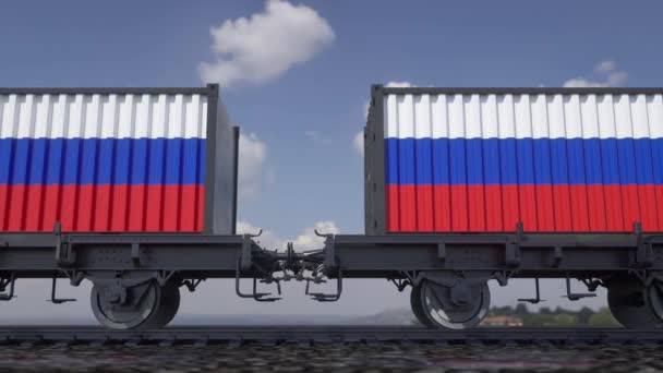 Containers met de Russische vlag. Spoorvervoer — Stockvideo