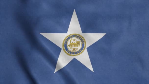 Флаг Хьюстона, развевающийся на ветру — стоковое видео