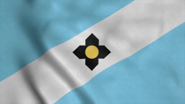 Drapeau de la ville de Madison, Wisconsin, agitant le vent — Video