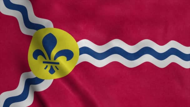 密苏里州圣路易斯的旗帜在风中飘扬 — 图库视频影像