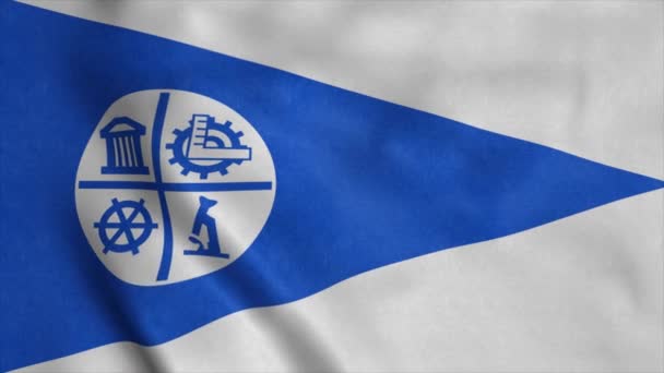 Minneapolis city flag, Stati Uniti d'America, sventola nel vento — Video Stock