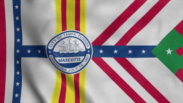 Флаг города Тампа, город Соединенные Штаты Америки — стоковое видео