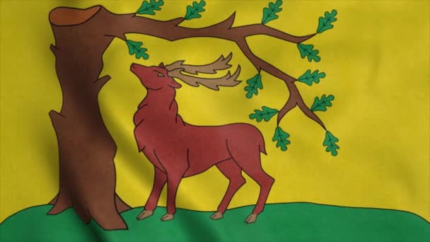 Bandeira de Berkshire, cidade da Inglaterra, acenando ao vento. Fundo da bandeira realista — Vídeo de Stock