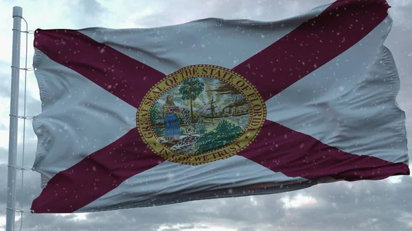 Bandera Invierno Florida Con Fondo Copos Nieve Estados Unidos América — Foto de Stock