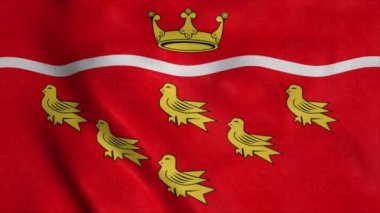 Doğu Sussex bayrağı, İngiltere, rüzgarda sallanıyor. Gerçekçi bayrak arkaplanı