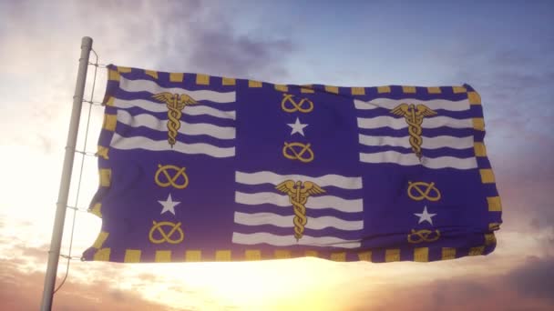 Bandiera della città di Brisbane nello stato del Queensland, Australia — Video Stock