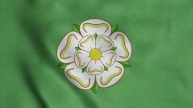 Kuzey Yorkshire bayrağı, İngiltere, rüzgarda sallanıyor