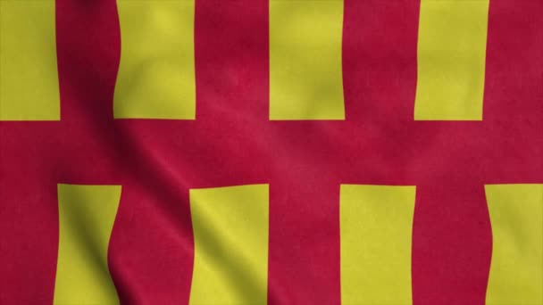 Northumberland vlag, Engeland, zwaaiend in de wind. Realistische vlag achtergrond — Stockvideo
