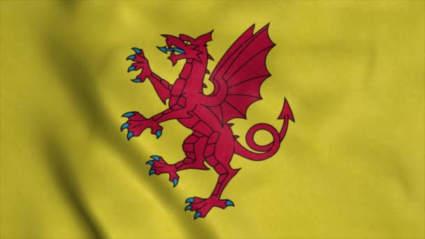 Somerset bayrağı, İngiltere, rüzgarda sallanıyor. Gerçekçi bayrak arkaplanı — Stok video