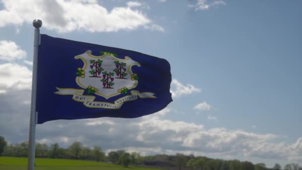 Σημαία της πολιτείας Κονέκτικατ, περιοχή των Ηνωμένων Πολιτειών, κυματίζει στον άνεμο — Αρχείο Βίντεο