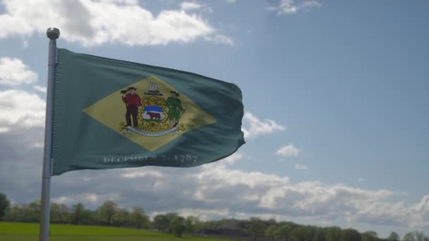 Флаг Делавэра на флагштоке, машущем ветром в небе. Штат Делавэр в Соединенных Штатах Америки — стоковое видео