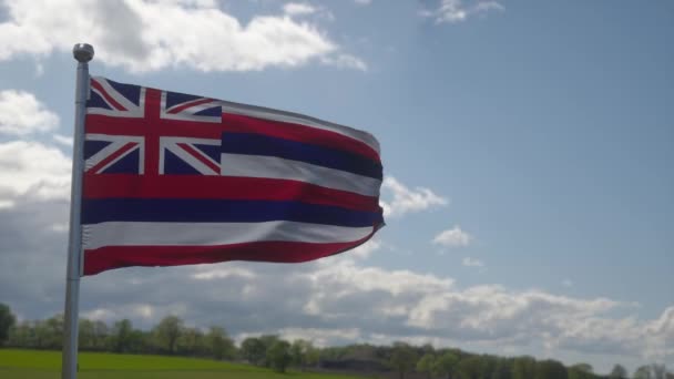 Σημαία Χαβάης σε ένα κοντάρι σημαίας κυματίζει στον αέρα στον ουρανό. Πολιτεία της Χαβάης στις Ηνωμένες Πολιτείες της Αμερικής — Αρχείο Βίντεο