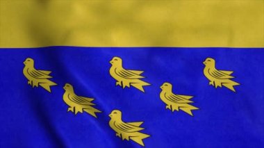 Batı Sussex bayrağı, İngiltere, rüzgarda sallanıyor. Gerçekçi bayrak arkaplanı