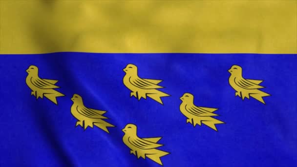 Drapeau du Sussex Ouest, Angleterre, agitant le vent. Fond drapeau réaliste — Video