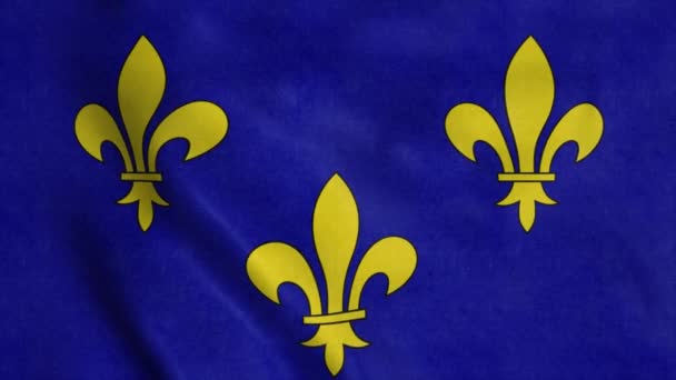Drapeau de la région Ile de France, France, agitant le vent. Fond drapeau réaliste — Video