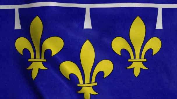フランスのオルレアーヌの旗風に揺れる。現実的な旗の背景 — ストック動画