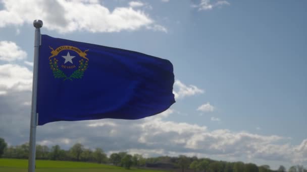 内华达州的国旗，美国的一个地区，随风飘扬 — 图库视频影像