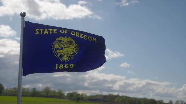 Bendera Oregon Pada Tiang Bendera Melambai Dalam Angin Latar Langit — Stok Video