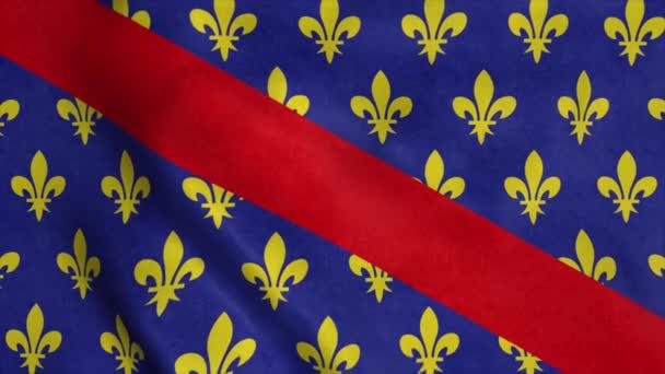 Bandera Bourbonnais Francia Ondeando Viento Fondo Azul Del Cielo — Vídeos de Stock