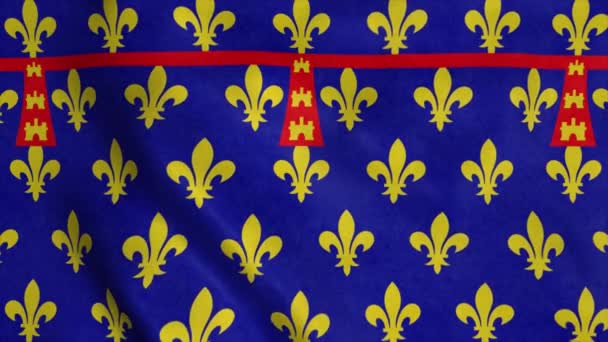 Bandera Artois Francia Ondeando Viento Fondo — Vídeo de stock