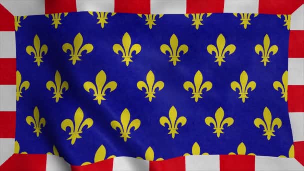 Touraine Vlag Frankrijk Wapperen Wind Achtergrond — Stockvideo