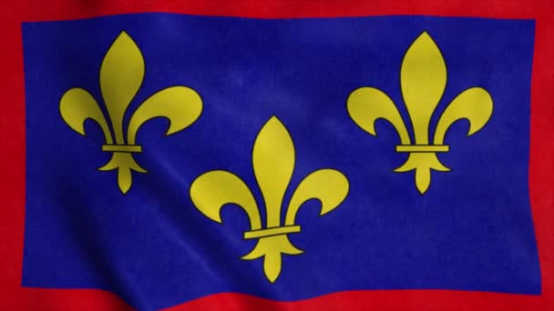 Anjou Bayrağı Fransa Rüzgarda Sallanan Arka Plan — Stok video
