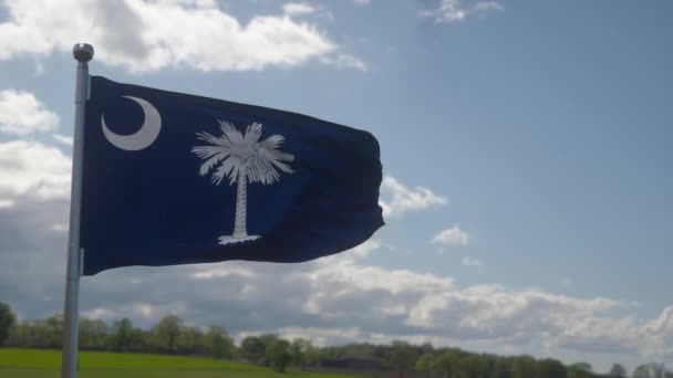 Bandera Carolina Del Sur Ondeando Viento Contra Las Nubes Del — Vídeo de stock