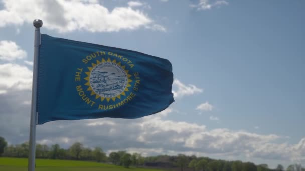 South Dakota Flag Flagpole Waving Wind Blue Sky Background — Stock Video