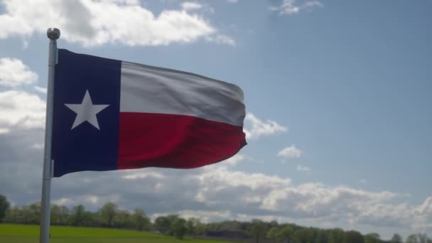 Bandeira Texas Mastro Acenando Vento Fundo Azul Céu — Vídeo de Stock