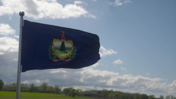 Vermontská Vlajka Stožáru Vlnící Větru Pozadí Modré Oblohy — Stock video