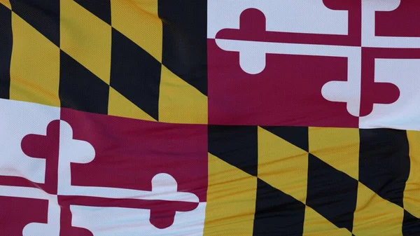 Drapeau État Maryland Région Des États Unis Agitant Vent Illustration — Photo