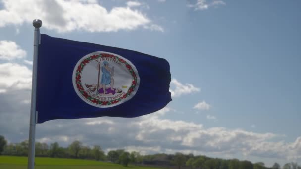 Bandiera Dello Stato Americano Della Virginia Regione Degli Stati Uniti — Video Stock