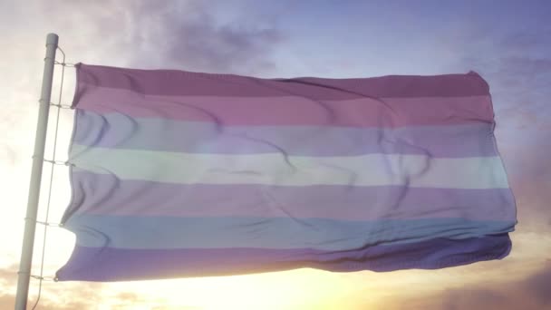 Bigender Pride Flag Lgbt Flag Blowing Wind — Stock Video