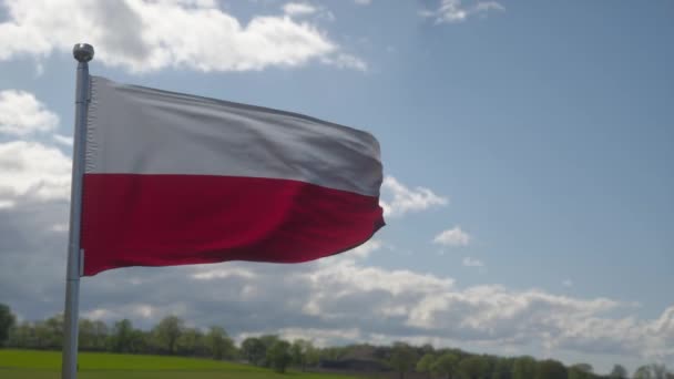Flaga Polski Machająca Wiatrem Przed Pięknym Błękitnym Niebem — Wideo stockowe