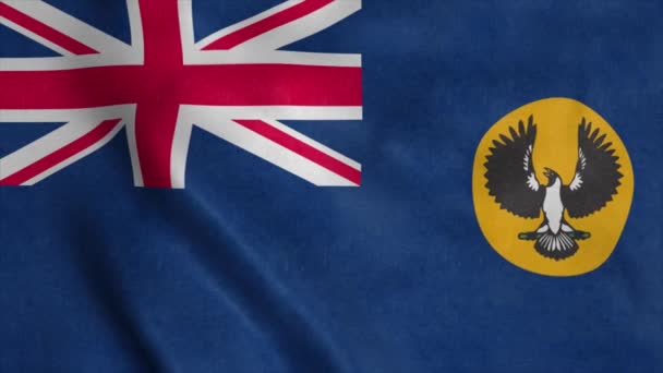 Dél Ausztrália Állami Zászló Ausztrália Integetett Szélben Reális Háttér — Stock videók