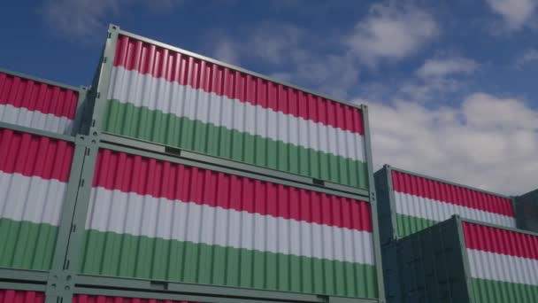 Los Contenedores Bandera Hungría Encuentran Terminal Contenedores Hungría Concepto Exportación — Vídeos de Stock