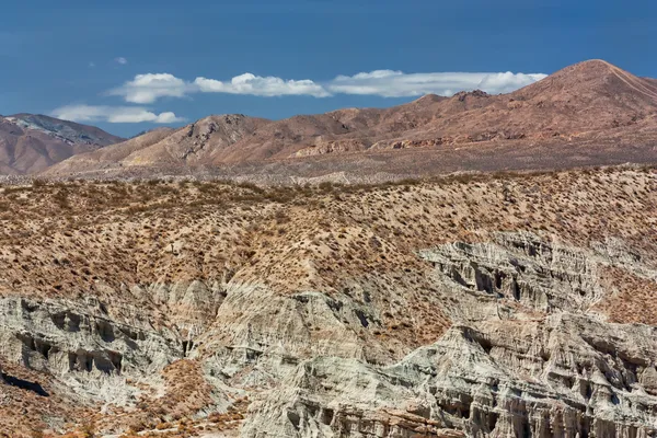 Kırmızı kayalıklarla doğal red rock canyon state park koru — Stok fotoğraf