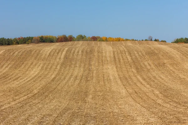 Plöjde fältet — Stockfoto