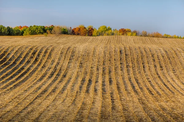 Furrowed Plowed Field in Late Autumn — Stock Photo, Image