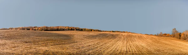 Furrowed Plowed Field in Late Autumn Panorama — Stock Photo, Image