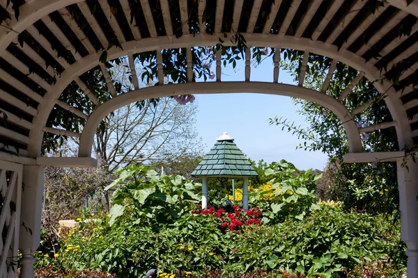 Sydkusten botaniska trädgård — Stockfoto