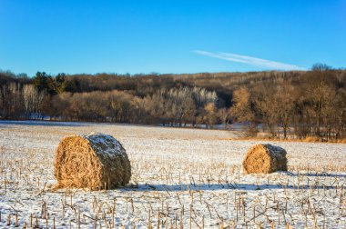 Haystacks on the Frozen Field clipart