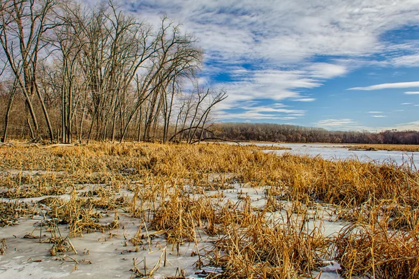Winter at the Marsh — Stock Photo, Image