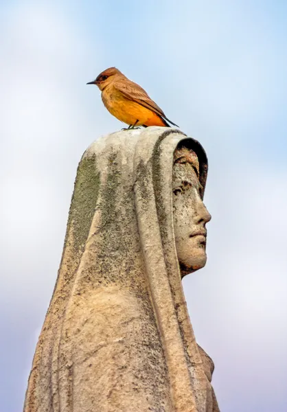 Ptak siedzący na cmentarzu pomnik — Zdjęcie stockowe