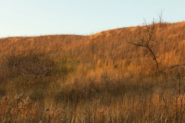 Bursztynowy kolor riiver bluffs — Zdjęcie stockowe